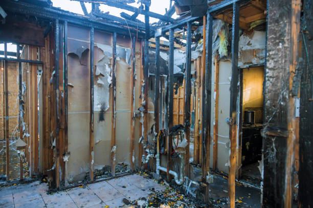 Professional Odor Removal technician working in Saint Michael, MN