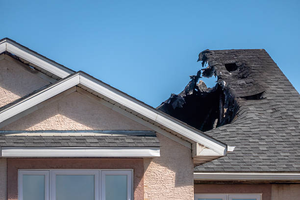 Top rated local Odor Removal specialists in Saint Michael, MN